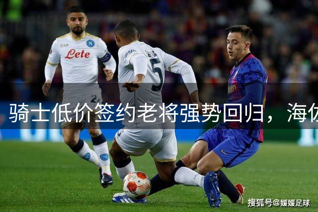 骑士低价签约老将强势回归，海佐尼亚或将成关键轮换